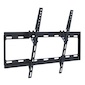 Tilting Mount 55$
